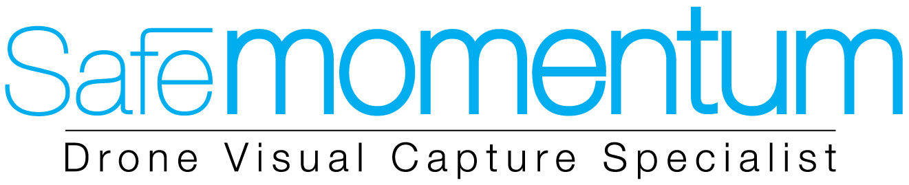 Safe Momentum Logo